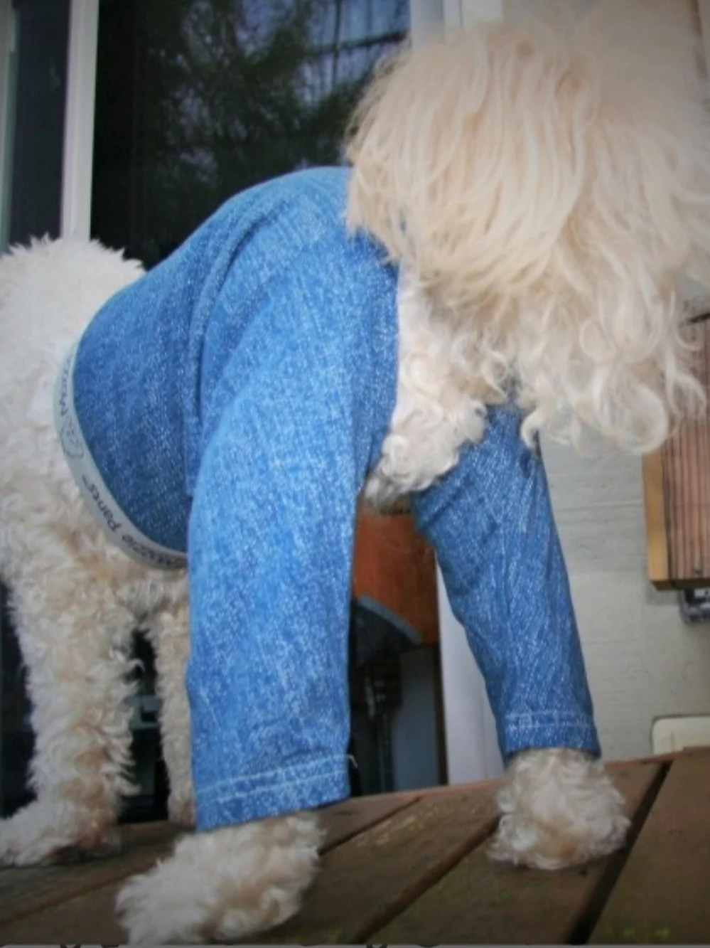 Mozzie Pants